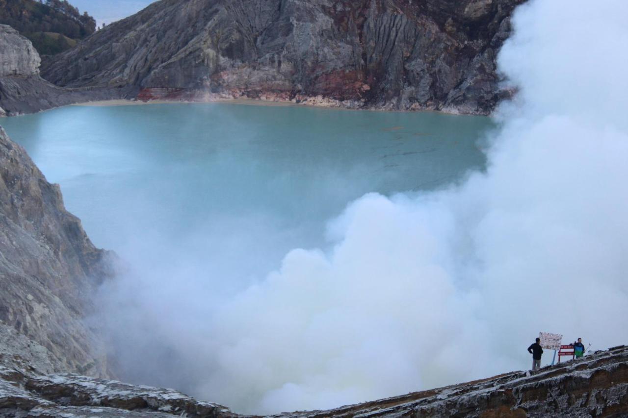Хостел Backpacker Kawah Ijen Баньювангі Екстер'єр фото
